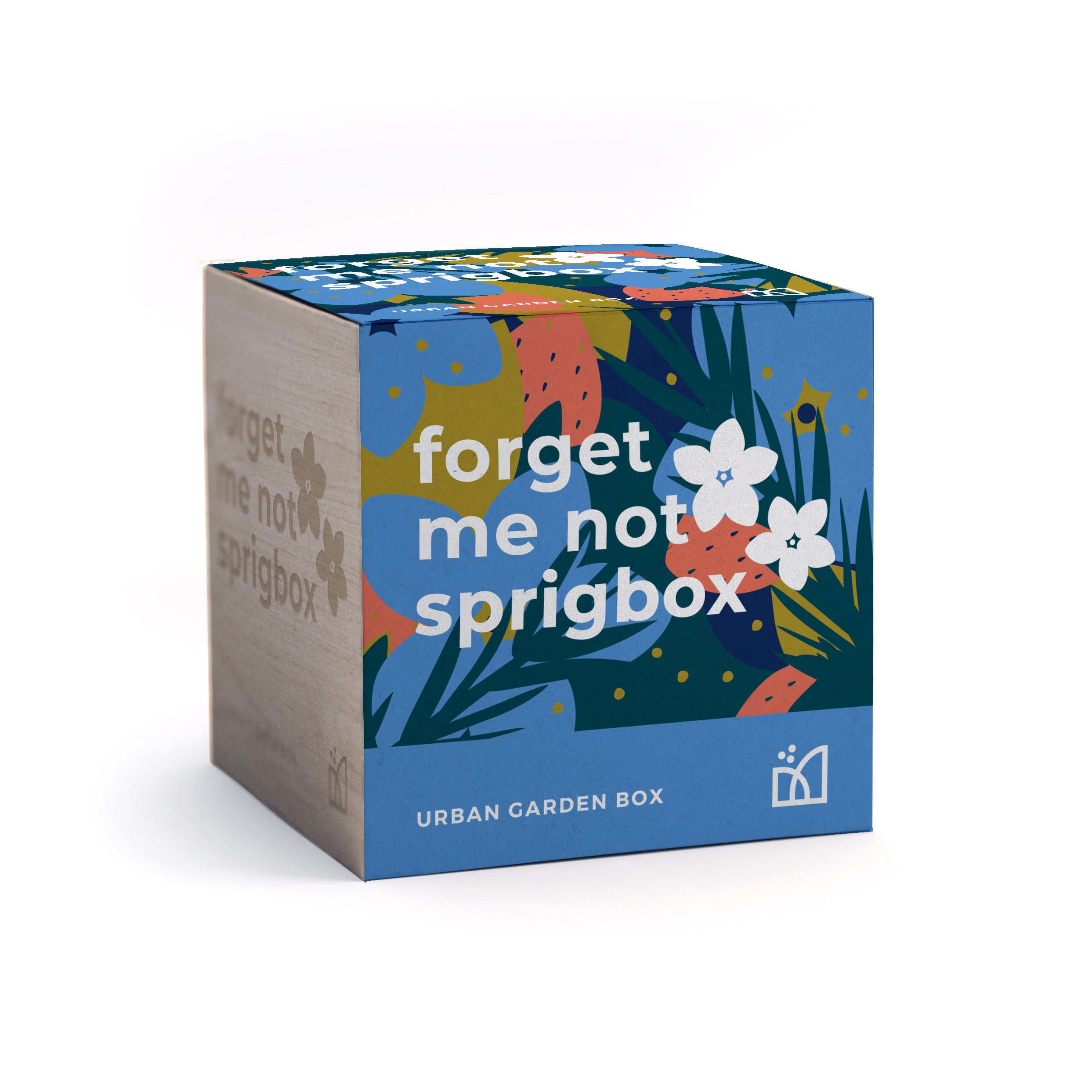 Grow Kit - Forget Me Not - Sprigbox