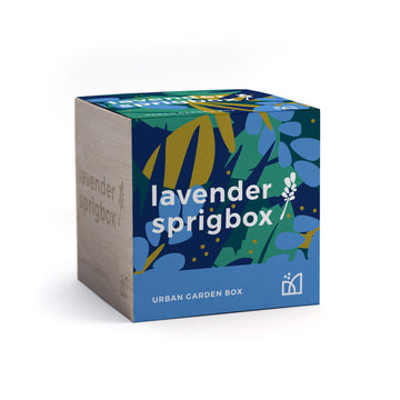 Grow Kit - Lavender - Sprigbox