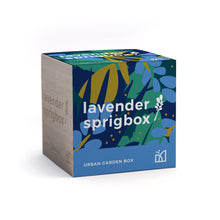 Load image into Gallery viewer, Grow Kit - Lavender
