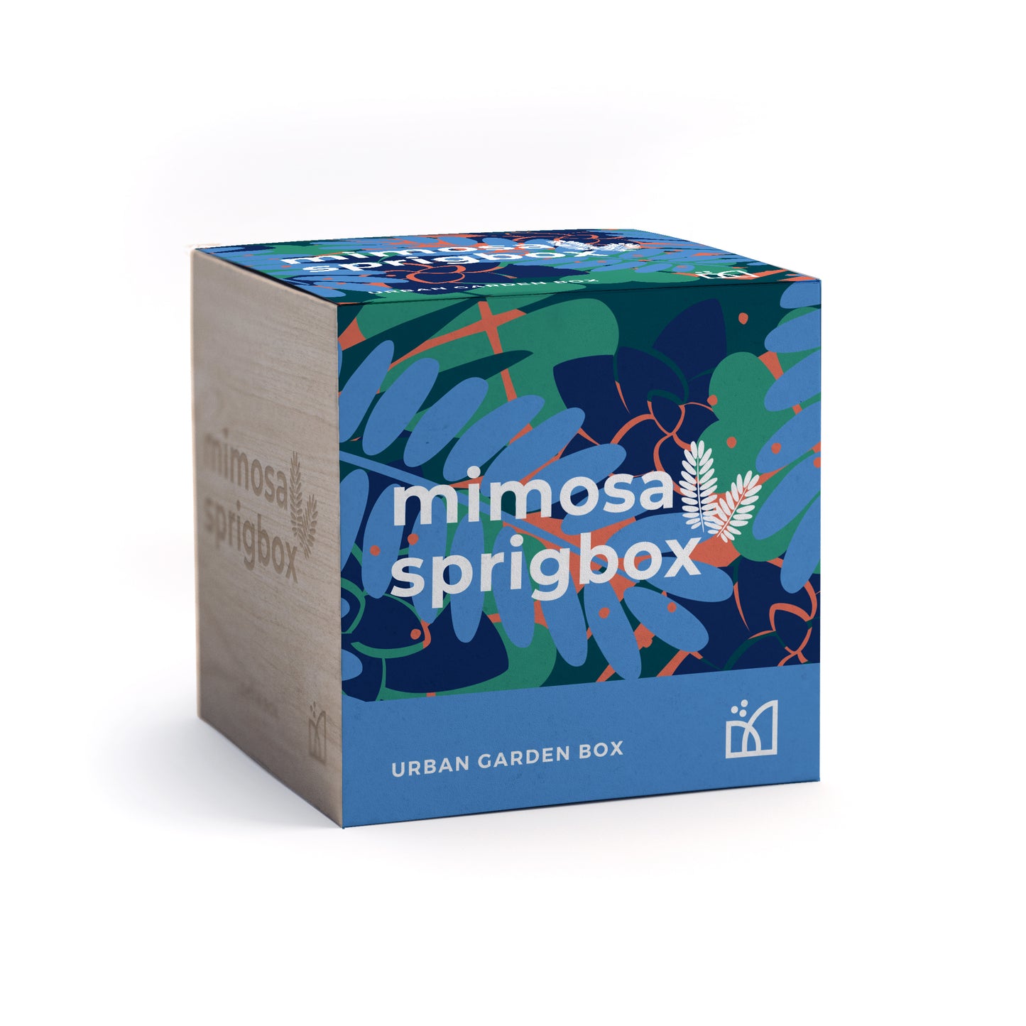 Grow Kit - Mimosa - Sprigbox
