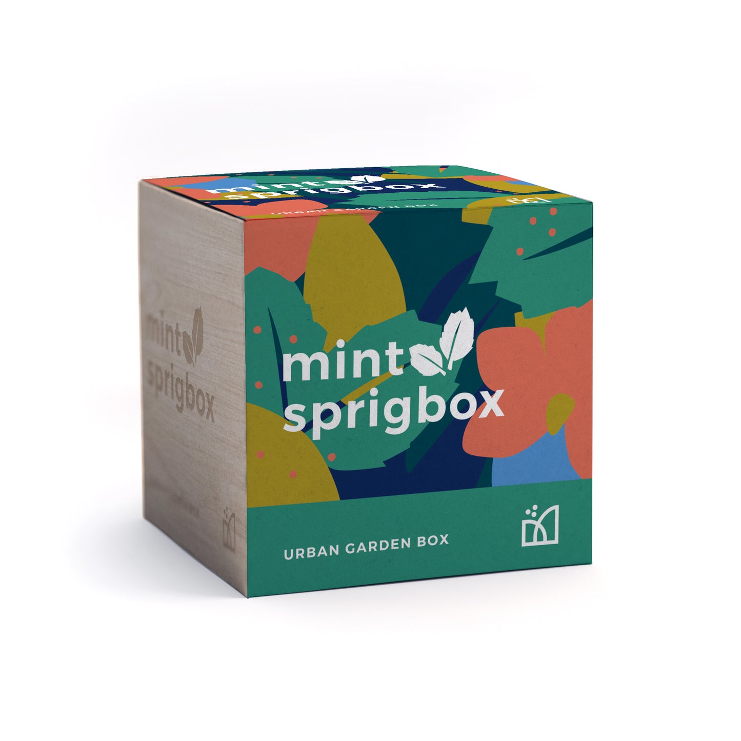 Grow Kit - Mint - Sprigbox