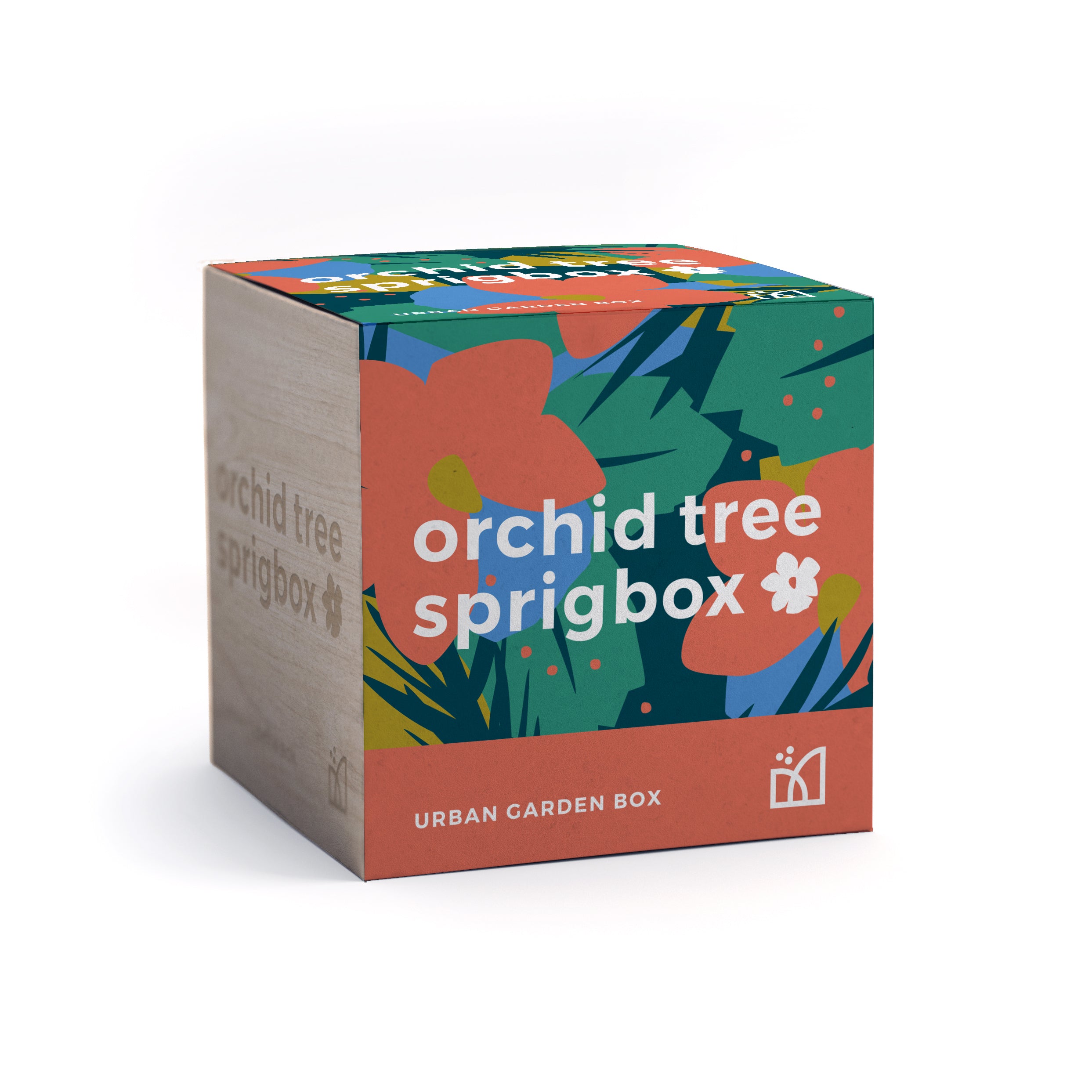 Grow Kit - Orchid Tree - Sprigbox