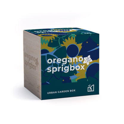 Grow Kit - Oregano - Sprigbox
