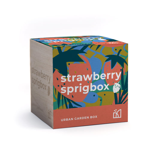Grow Kit - Strawberry - Sprigbox