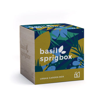 Grow Kit - Basil - Sprigbox