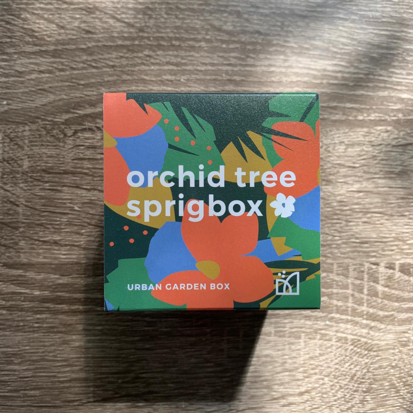 Grow Kit - Orchid Tree - Sprigbox