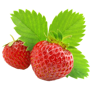 Grow Kit - Strawberry