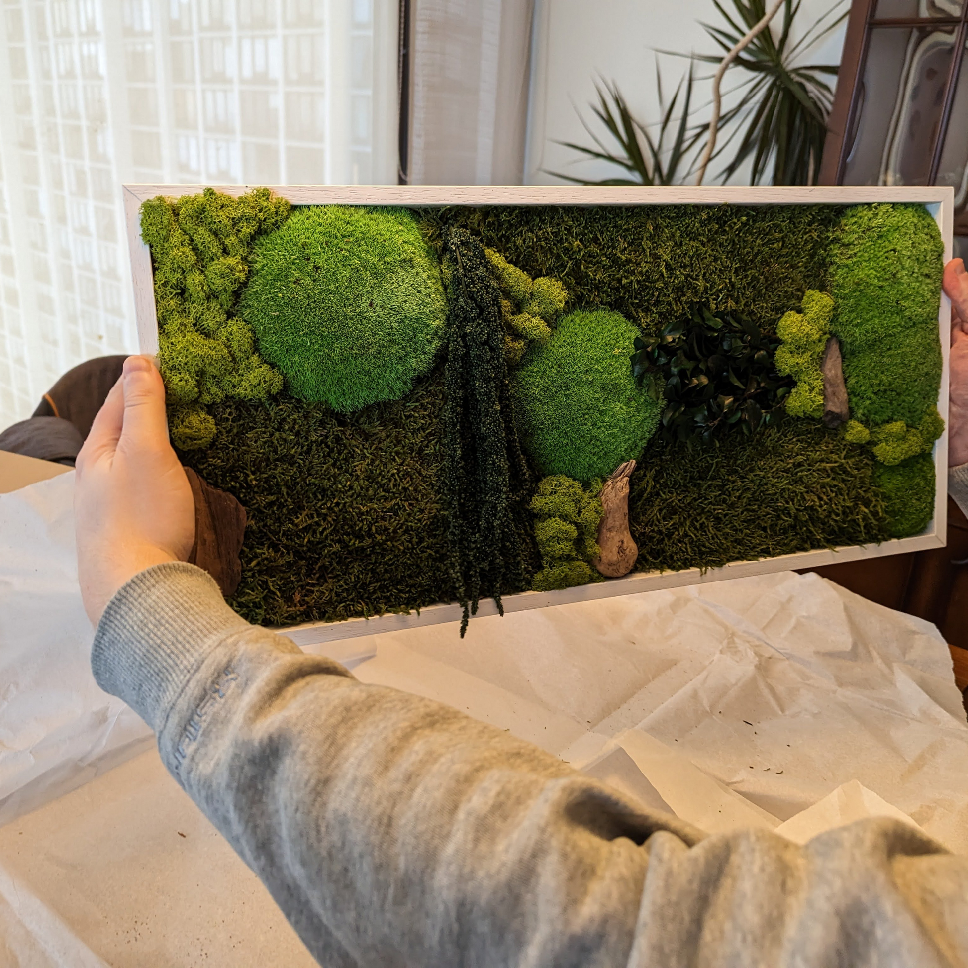 Stunning Moss Wallart - Wooden Frame with Preserved Moss - Sprigbox