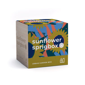 Grow Kit - Sunflower